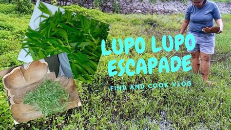 porno lypo|lupe Search